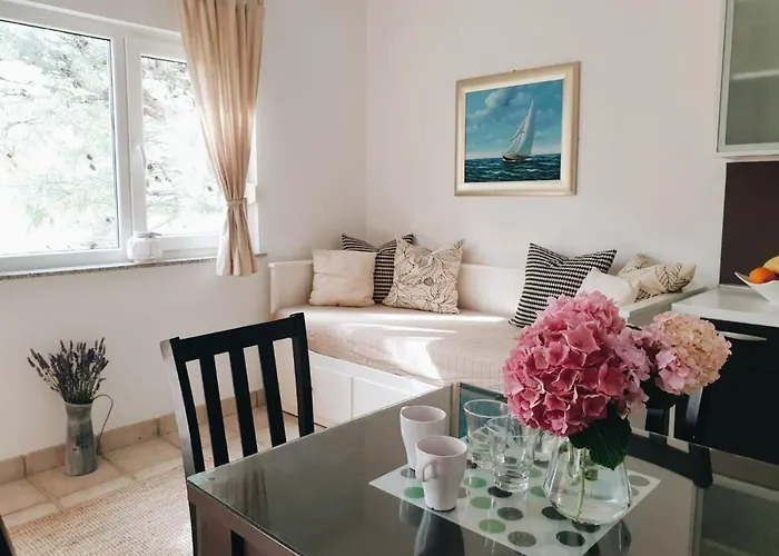 Paklenica 아파트 *