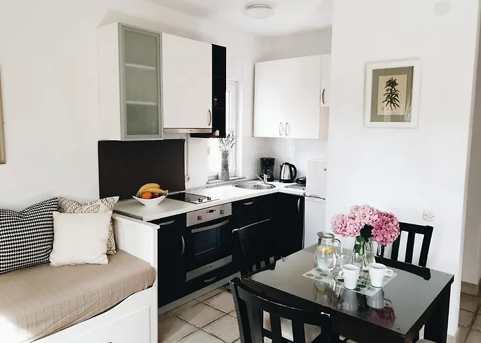 Paklenica 아파트 *