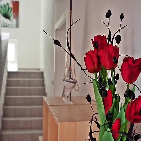 Paklenica Apartamento